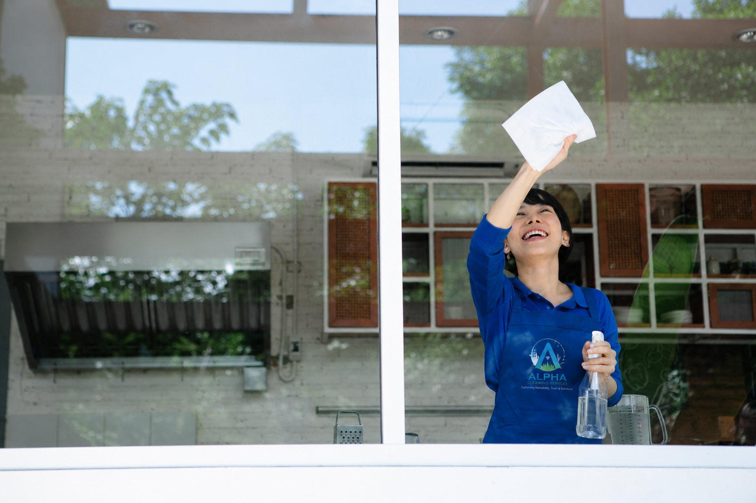 Window Cleaning