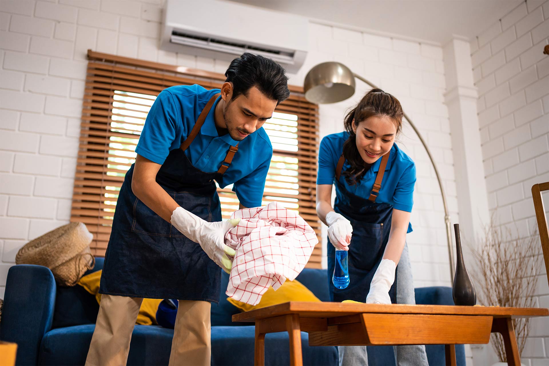 Home Cleaning