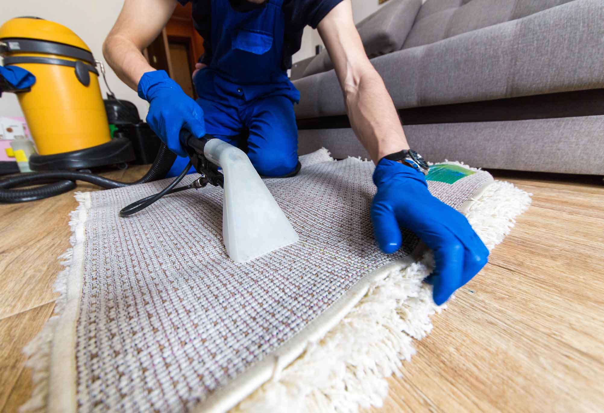 Focused Care for Carpeted Spaces