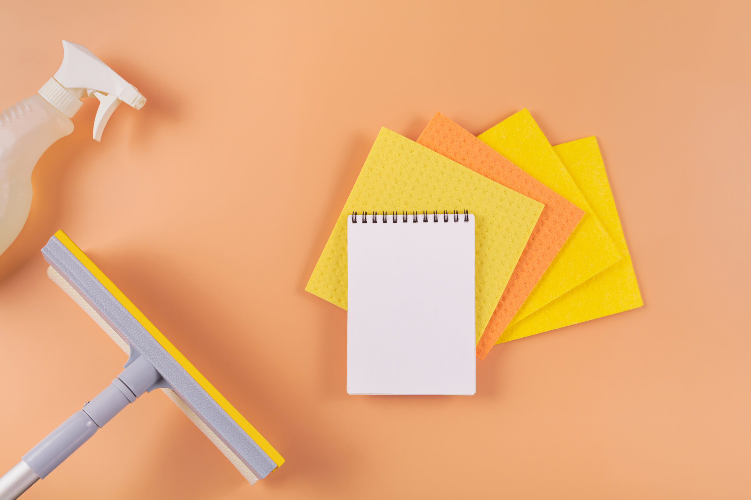 Important Factors Before Carpet Service